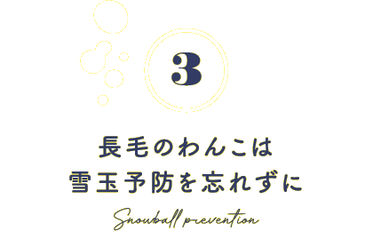 3 長毛のわんこは雪玉予防を忘れずに