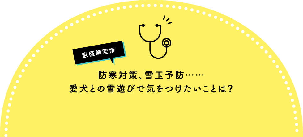 獣医師監修 防寒対策、雪玉予防……愛犬との雪遊びで気をつけたいことは？