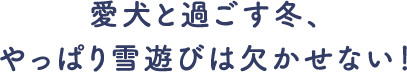 愛犬と過ごす冬、やっぱり雪遊びは欠かせない！