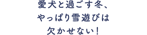 愛犬と過ごす冬、やっぱり雪遊びは欠かせない！
