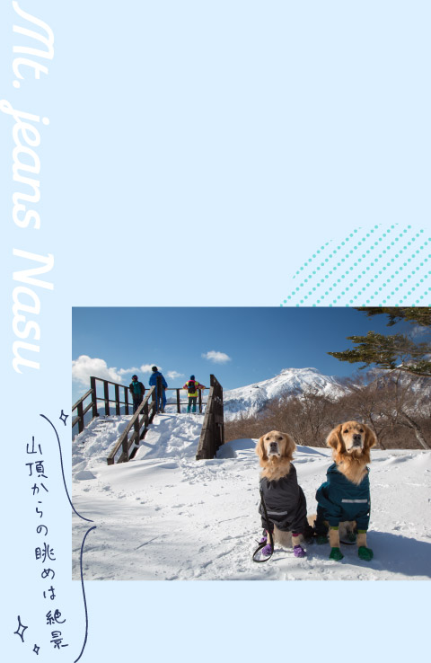 山頂からの眺めは絶景