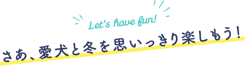 さあ、愛犬と冬を思いっきり楽しもう！