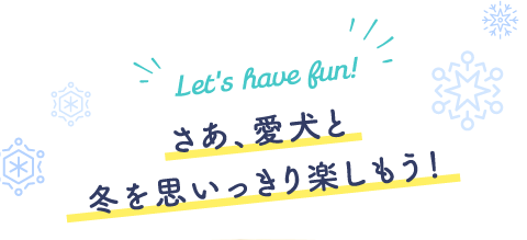 さあ、愛犬と冬を思いっきり楽しもう！