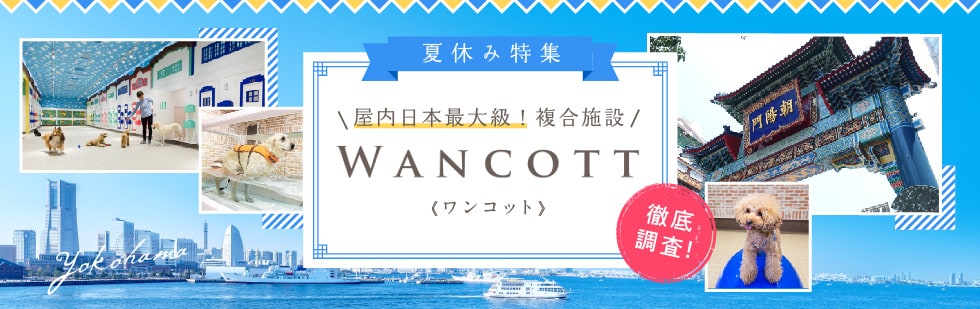 夏休み特集 屋内日本最大級！複合施設 WANCOTT