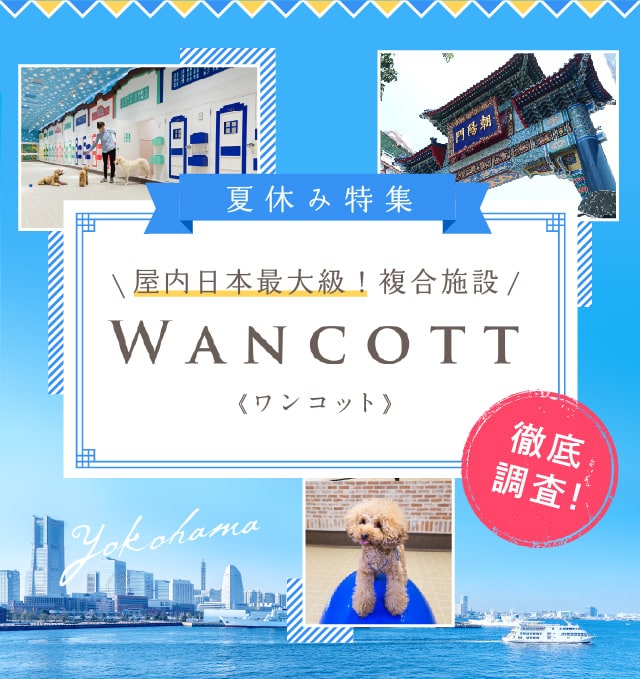 夏休み特集 屋内日本最大級！複合施設 WANCOTT