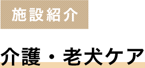 施設紹介 介護・老犬ケア