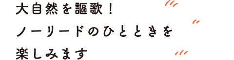 大自然を謳歌！ノーリードのひとときを楽しみます