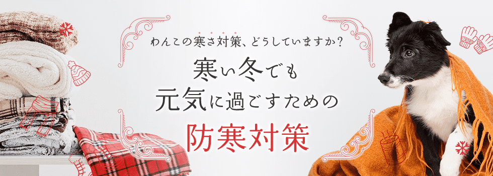 わんこの寒さ対策、どうしていますか？ 寒い冬でも元気に過ごすための防寒対策