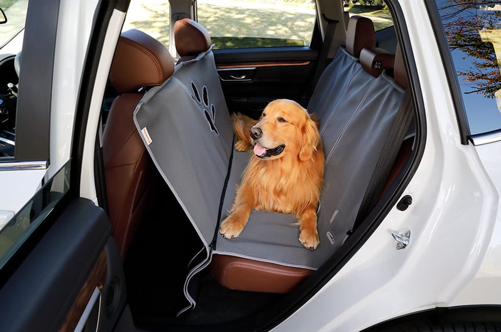 犬 が 車 に ひかれ た 症状