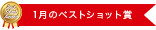 1月のベストショット賞