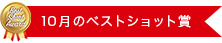 10月のベストショット賞
