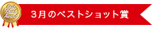 3月のベストショット賞