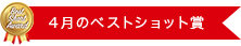 4月のベストショット賞