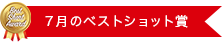 7月のベストショット賞