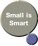 Small is Smart