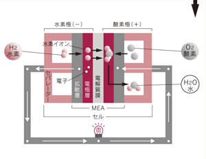 燃料電池スタック発電原理（セル単体での発電イメージ）