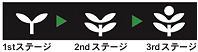 ステージ毎の「リーフ（葉）」の成長