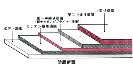 塗膜断面