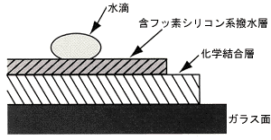 フロントドア撥水ガラス