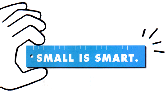 SMALL IS SMART