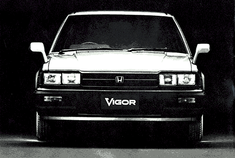 VIGOR