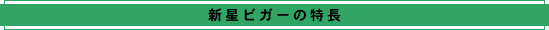 新星ビガーの特徴