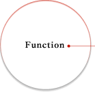 Function
