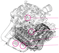 HONDALEV1