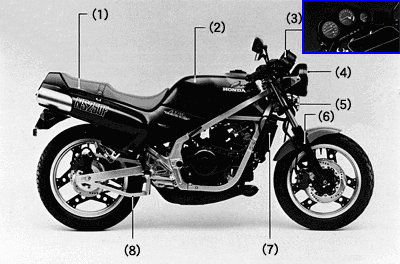 NS250F