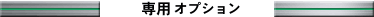 ストリーム専用オプション