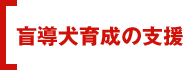 盲導犬育成の支援