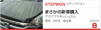 2009N8̉Ƒc XebvS