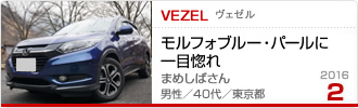 2016N2̉Ƒc F[