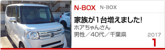 2017N1̉Ƒc N-BOX