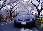 Ɍꂽ!!  z̎!!