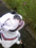 QSƂ