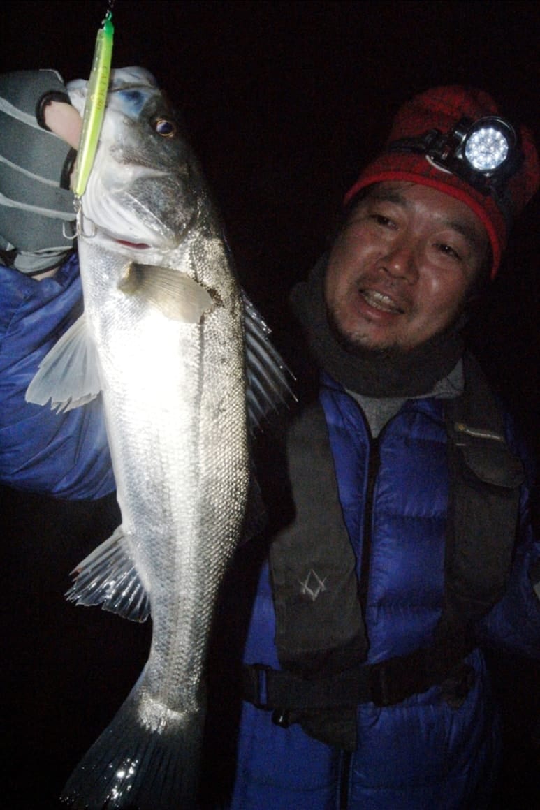 春の運河内のシーバスが活発に捕食行動をするのは夜ですが、日中でもヘチやカケアガリの際で休んでいるシーバスの口元にルアーを送り届けることができればこのように釣れます