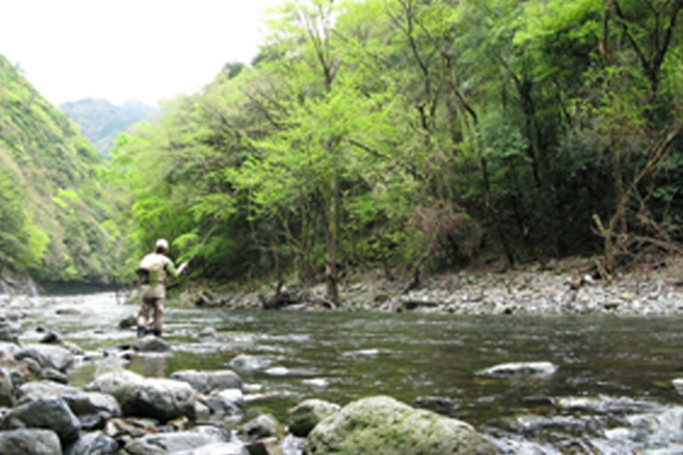 渓流の自然は、森、水、石、の3つすべてがそろわないと健康には保たれません。そんな川にフライを浮かべるだけでも幸せな気分にひたれます