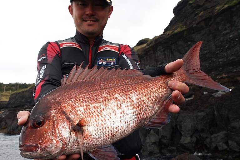 こんなマダイが釣れることも。釣り人は福島県在住の伊藤一美さん。大島に魅せられたひとりで、福島県から10年以上も大島詣でを続けています