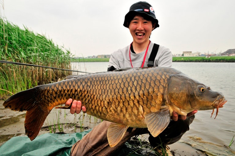 6月上旬に編集部員が釣った87cmのコイ。このような野生の魚が、大都市を潤す川に潜んでいること自体が素晴らしい