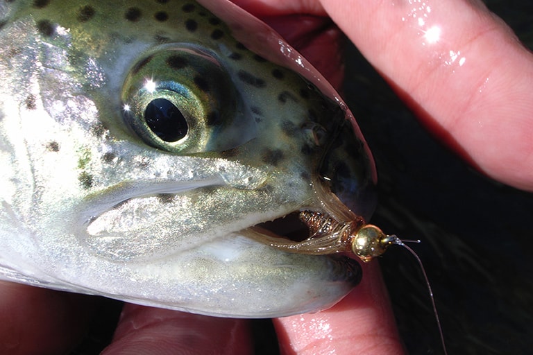 魚のサイズは25cmほどのレギュラーサイズと、50cm前後のビッグサイズの2種類。ビーズヘッドの付いたニンフなど、しっかり沈めるタイプのフライでねらいたい