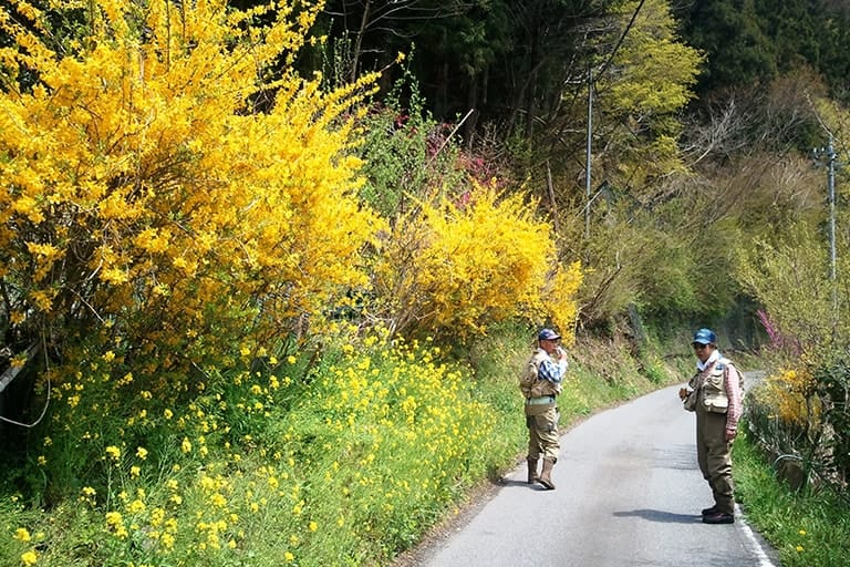 秩父の5月は色とりどりの花が山肌を飾る季節。周囲の風景にも目をやりながらゆっくりと釣りを楽しみたい