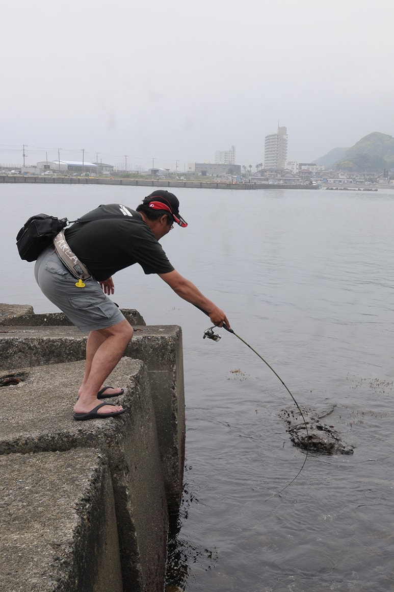 物陰から飛び出してルアーに食らいついた次の瞬間には住処に反転している。このスピードはものすごく速いからアワセが遅れるとあとの祭りになる