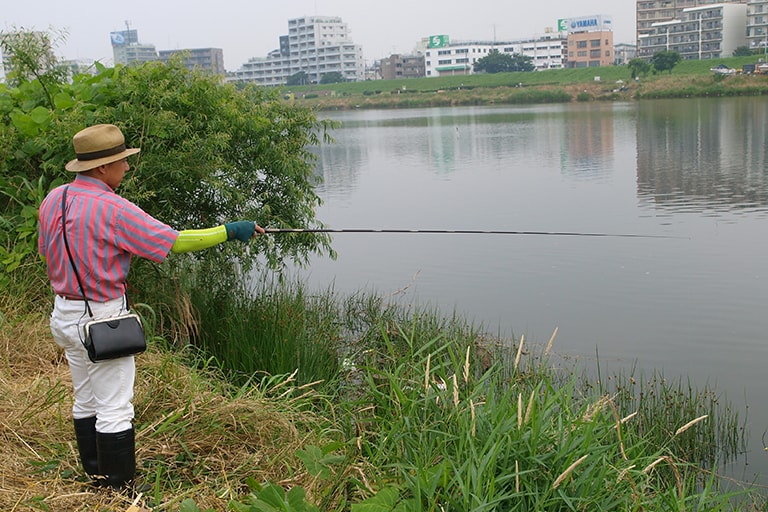 テナガエビは日中、岸際の障害物の陰に潜んでいます。そんなところにエサを付けた仕掛けを入れると、すぐにアタリがやってきて……