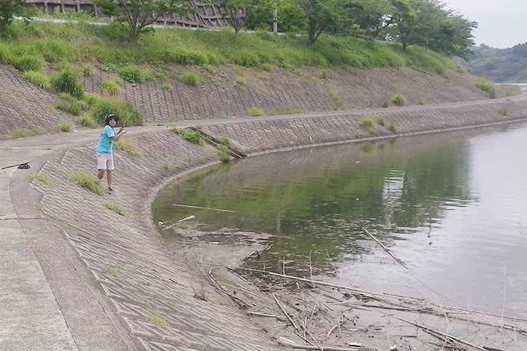 足場はこんな感じの緩い傾斜のところが多い。沖に点在する沈み物と、岸際に寄せられて溜まった流木などの際を丁寧に探っていく