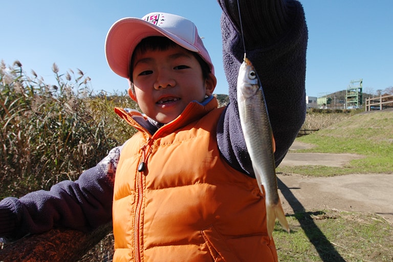 小さくカットしたミミズをエサにすればオイカワやブルーギルが簡単に釣れる