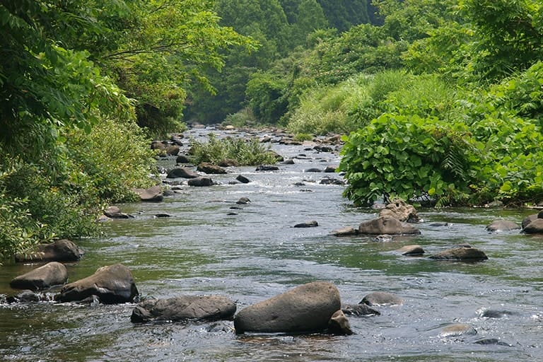 島内にはご覧のような川が何本も流れていて、天然アユもソ上します