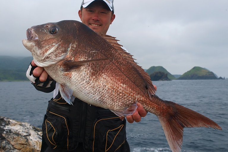 磯からのウキフカセ釣りで手にした74cmのマダイ。船からでも滅多に出会えないこのサイズが、春や秋の磯ではコンスタントにあがります