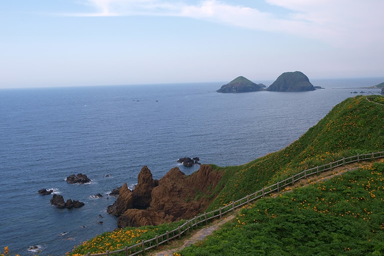 景勝地、大野亀からの眺め。沖合に見える大きなふたつの島が二ツ亀。手前に見える黄色い花はカンゾウ。佐渡は花の島としても人気があります