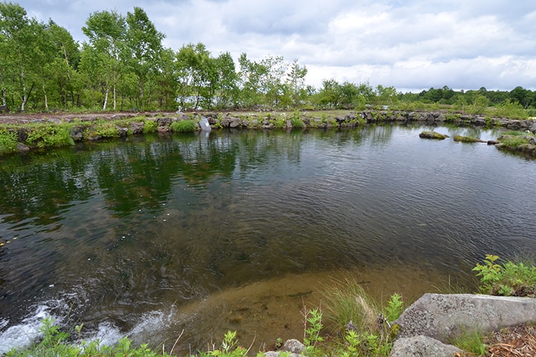 「釣りっ子ランド」は気軽にエサ釣りが楽しめる浅めの池。管理棟と八千穂レイクの間にある